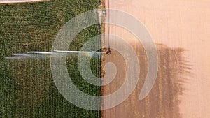 Irrigating maize in the summer