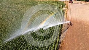 Irrigating maize in the summer photo