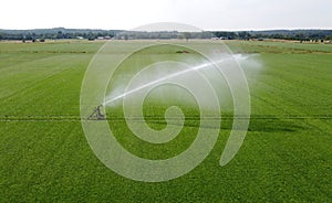 Irrigating meadow in the summer photo