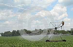 Irrigating a Soybean Field