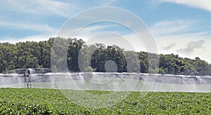 Irrigating Soybean Field