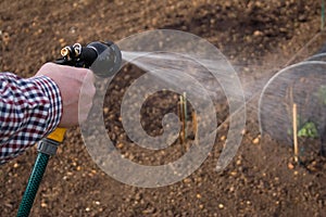 Irrigating the vegetables