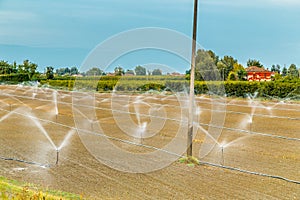 Irrigation of agricultural field with sprinklers