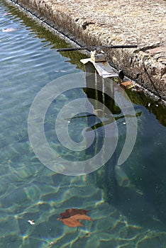 An irrigation basin valve with clear water