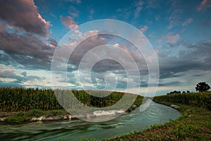 Irrigation canal through corn fields, northern Italy.