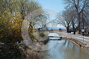 An irrigation canal in early spring