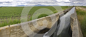 irrigation canal flows over the fertile meadows of High Guadiana