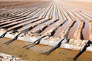 Irrigation canal & siphon tubes photo