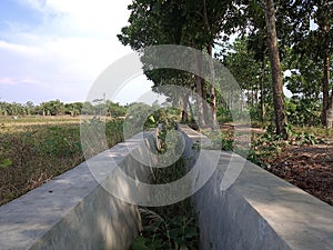 Irrigation canals that irrigate rice fields