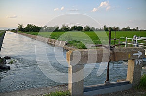 Irrigation channel near the rice fields