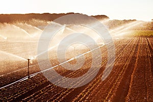 Irrigation in Corn Field photo