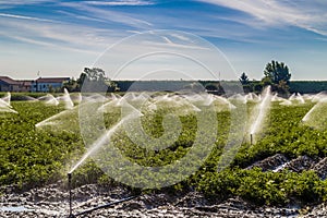 Irrigation of cultivated fields in the countryside in the north