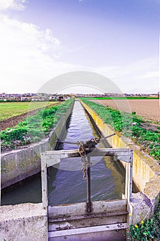 Irrigation ditch. on the banks of the Ebro river with alfalfa fields