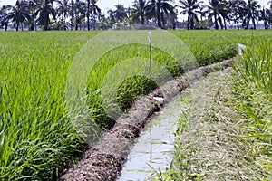 Irrigation ditch photo