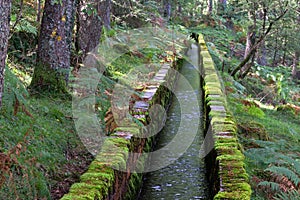 Irrigation ditch for water channeling photo