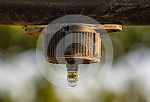 Irrigation dripper in vineyard