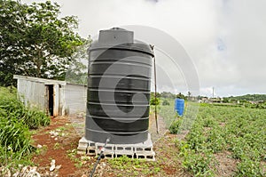 Irrigation Drum At Tomato Garden photo