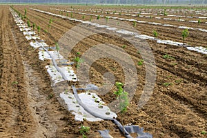 Irrigation equipment in the fields