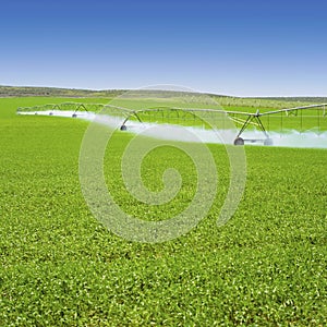 Irrigation equipment watering Spring crops in green farm field. Agriculture farming industry