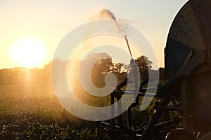 irrigation farm fields sunset hot air balloon water trees