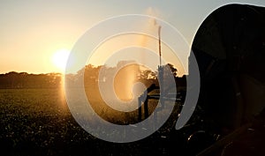 irrigation farm fields sunset hot air balloon water trees