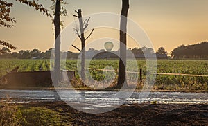 irrigation farm fields sunset hot air balloon water trees