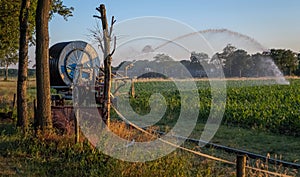 irrigation farm fields sunset hot air balloon water trees