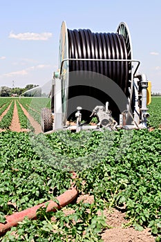 Irrigation farmland