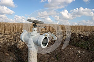 Irrigation Faucet landscape framing