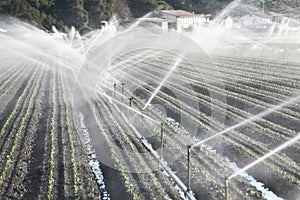 Irrigation in a Field