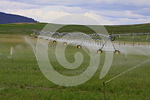 Irrigation Fields and Pivot Sprinklers