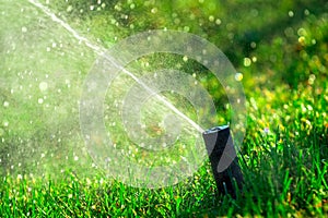 Irrigation grass in garden on sun rim backlight.  Watering the lawn. The gushing of lawn