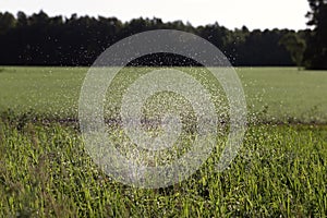 Irrigation grass system, modern technique of watering in garden