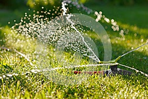 Irrigation of green grass