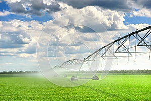 Irrigation machine watering agricultural field with young sprouts, green plants on black soil and beautiful sky