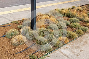 irrigation outside on a street