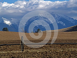 Irrigation Pipe, Field and Snowcapped Mountains photo