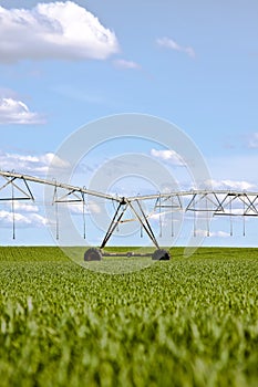 Irrigation pivot