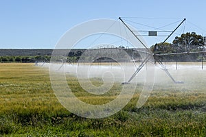 Irrigation pivot in a field of wheat
