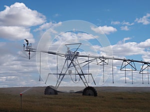 Irrigation Pivot Line