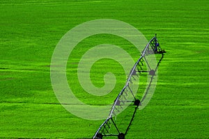 Irrigation Pivot in Lush Green Field with Circle Tracks on Ground