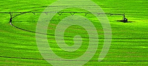 Irrigation Pivot in Lush Green Field with Circle Tracks on Ground