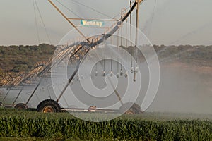 An irrigation pivot in South Africa 3