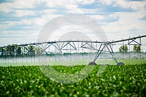 An irrigation pivot watering a field, beautiful view