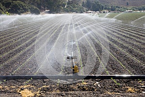 Irrigation plant