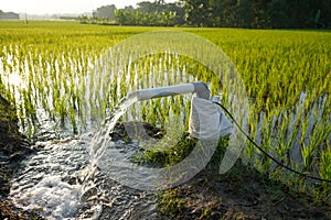 Irrigation of rice fields using pump.