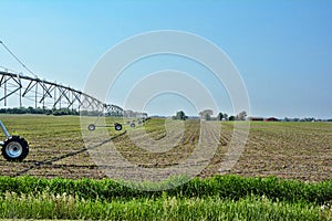 Irrigation Sprayer 3