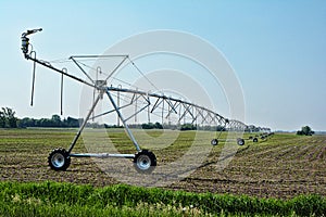 Irrigation Sprayer 2