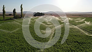 Irrigation sprinkler systems are working in field. Aerial view.