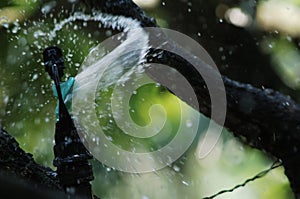 Irrigation sprinkler